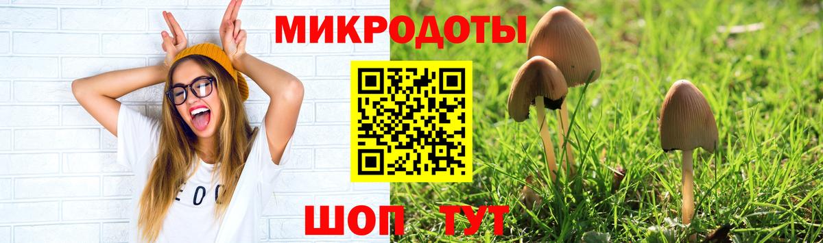 Нефтекумск  Галлюциногенные грибы GOLDEN TEACHER  закладки  Вход с VPN 